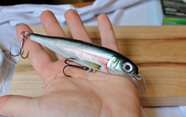 Click to expand / contract the width of this image