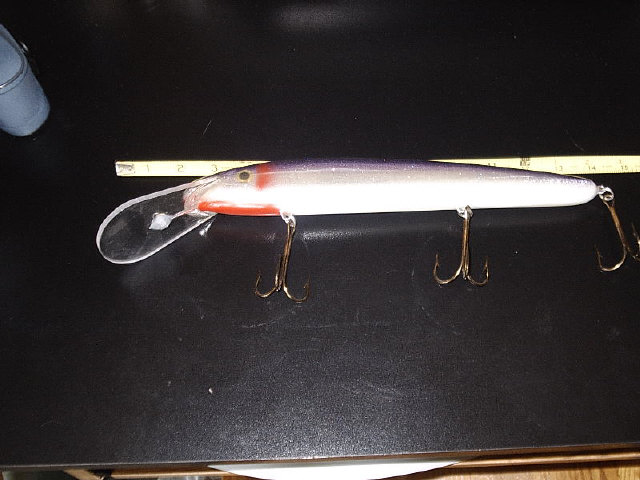 Click to expand / contract the width of this image