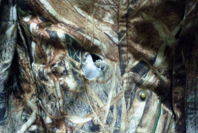 Click to expand / contract the width of this image