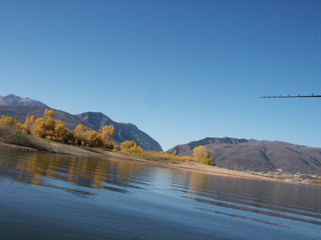 Click to expand / contract the width of this image