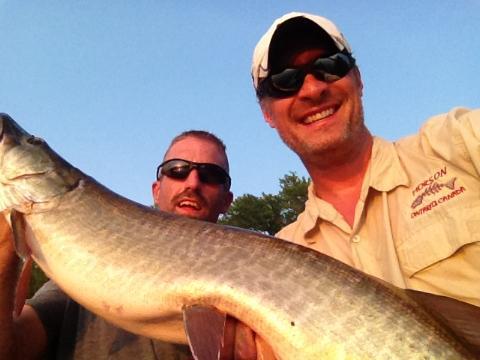 Click to expand / contract the width of this image