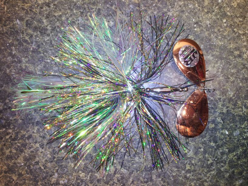 Click to expand / contract the width of this image