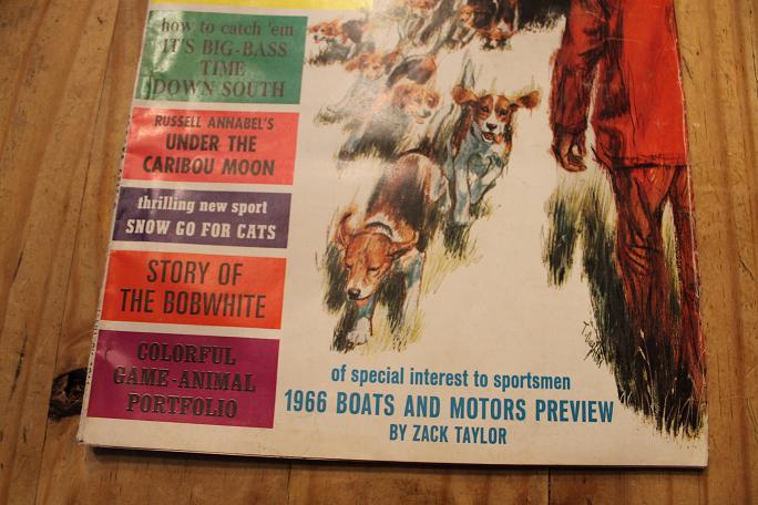 Click to expand / contract the width of this image