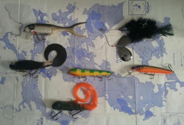 Click to expand / contract the width of this image