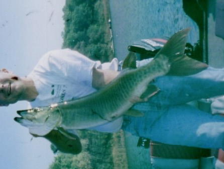 Click to expand / contract the width of this image