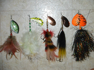 Click to expand / contract the width of this image