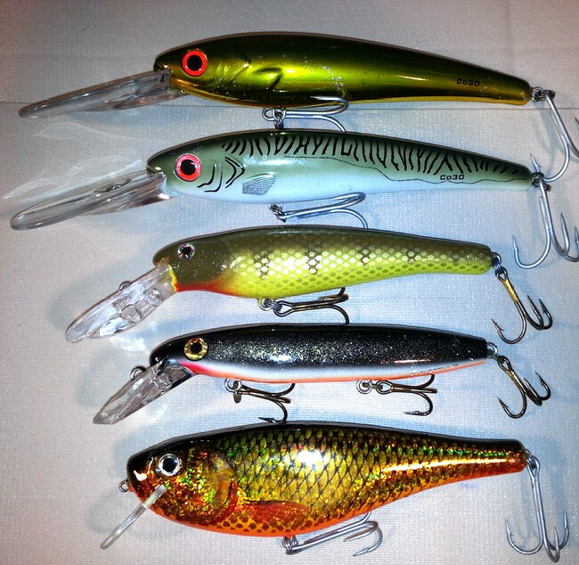 Click to expand / contract the width of this image