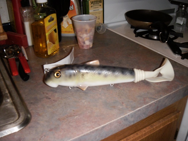 Click to expand / contract the width of this image