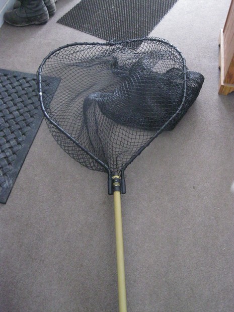 Click to expand / contract the width of this image