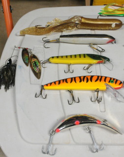 Click to expand / contract the width of this image