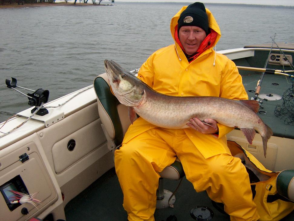 MuskieFIRST | 52 x 26 Ottawa River Musky Nov 9 05 ...