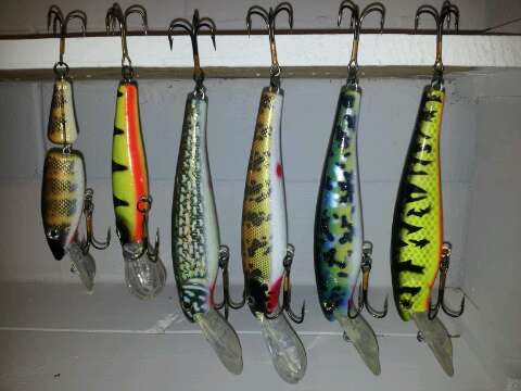 Click to expand / contract the width of this image