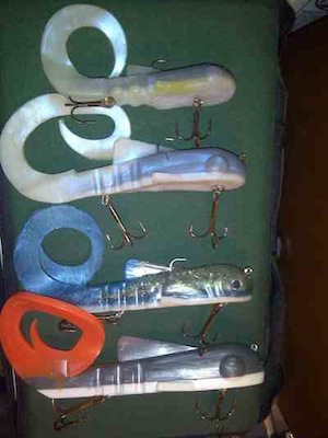 Click to expand / contract the width of this image