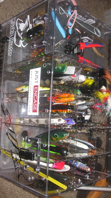 Click to expand / contract the width of this image