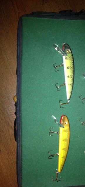 Click to expand / contract the width of this image