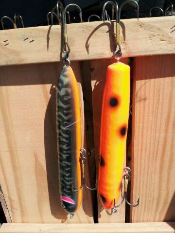 Click to expand / contract the width of this image