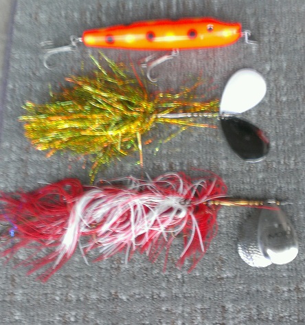 Click to expand / contract the width of this image