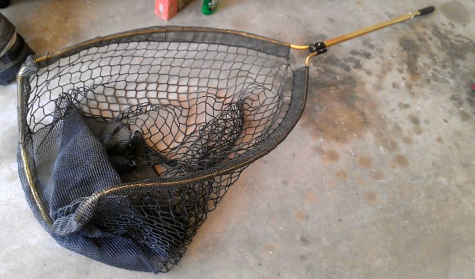 Click to expand / contract the width of this image