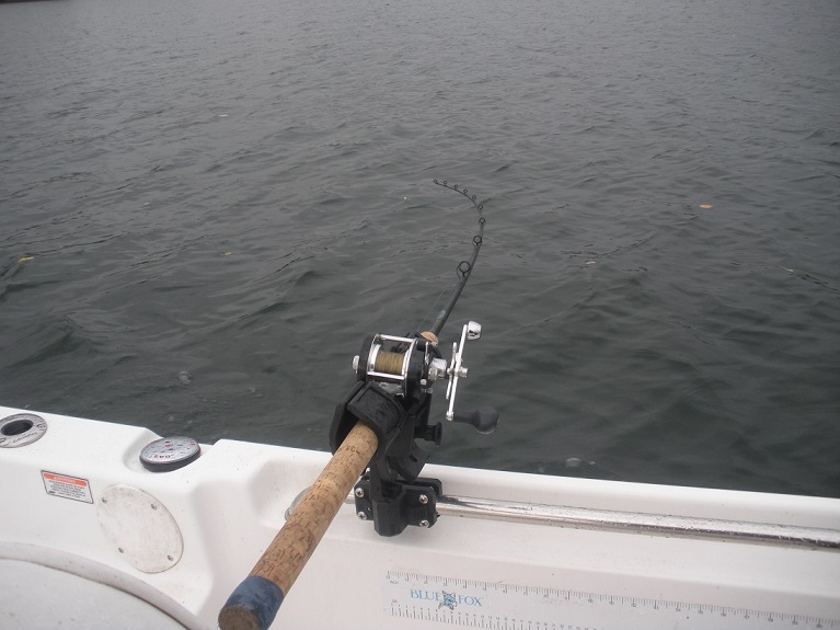 MuskieFIRST  Best Rod Holder » Lures,Tackle, and Equipment
