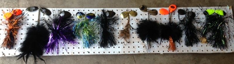 Click to expand / contract the width of this image