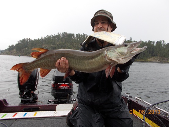 Click to expand / contract the width of this image