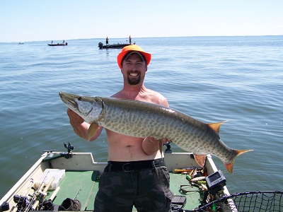 Click to expand / contract the width of this image