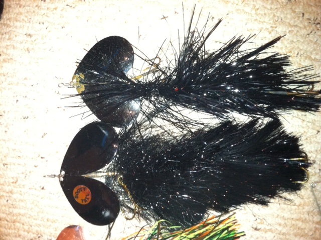 Click to expand / contract the width of this image