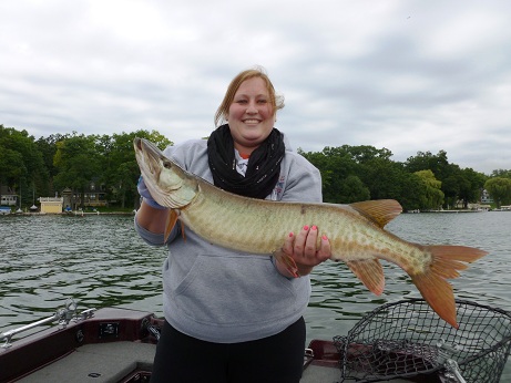 Click to expand / contract the width of this image