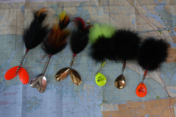 Click to expand / contract the width of this image