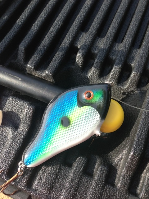 Click to expand / contract the width of this image