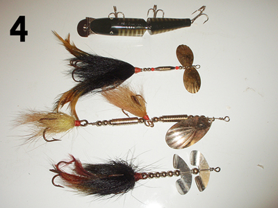 Click to expand / contract the width of this image