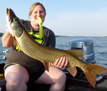 Click to expand / contract the width of this image