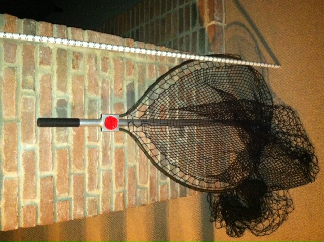 Click to expand / contract the width of this image