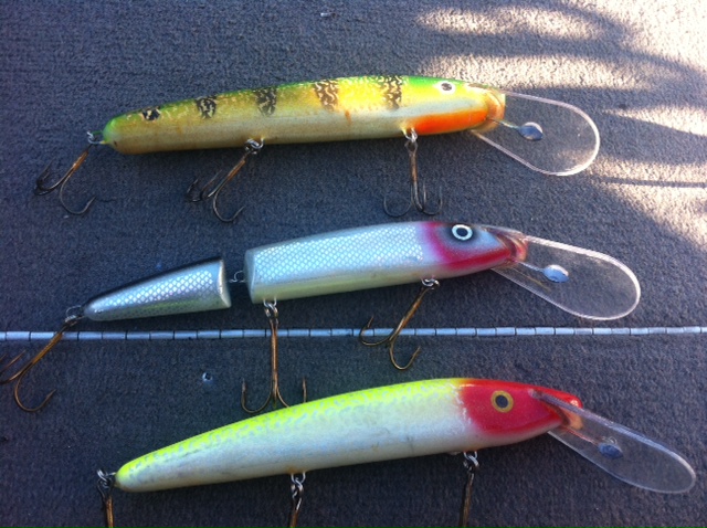 Click to expand / contract the width of this image