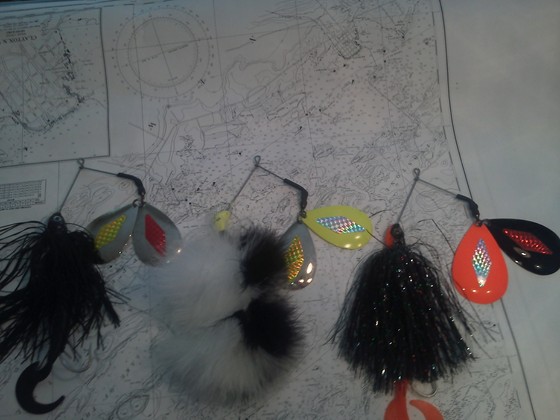 Click to expand / contract the width of this image