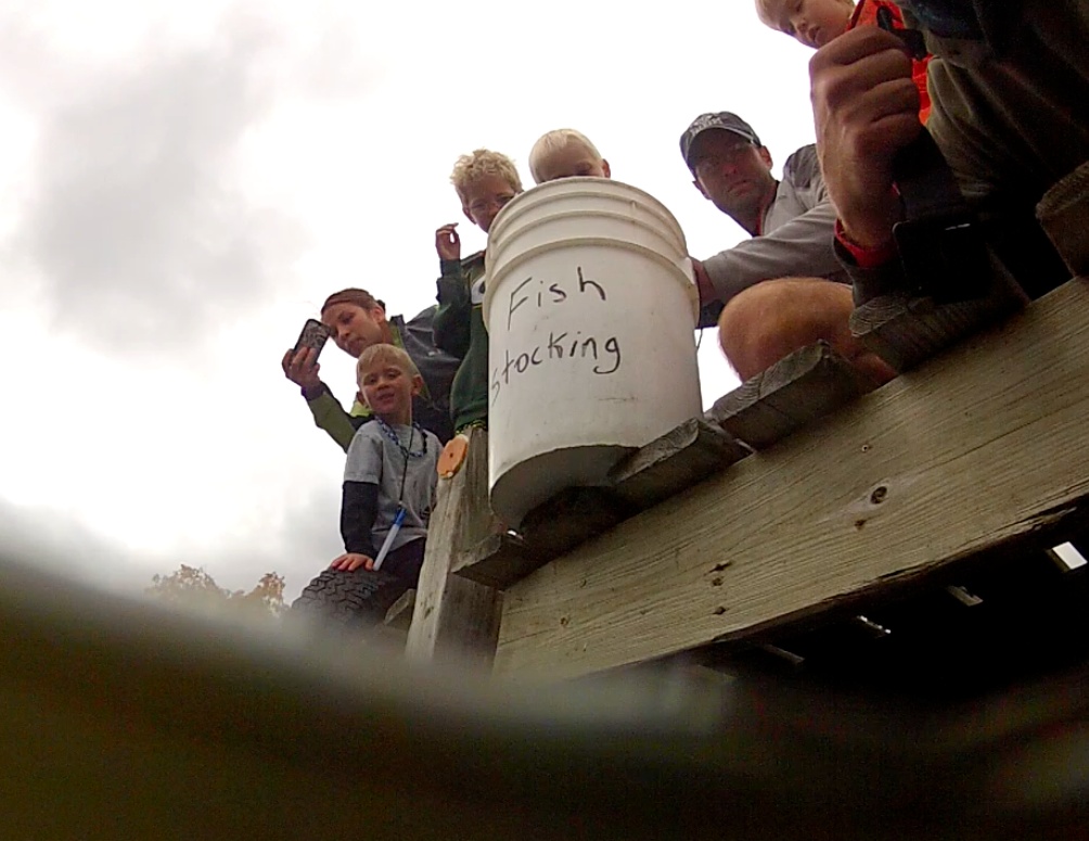 Click to expand / contract the width of this image