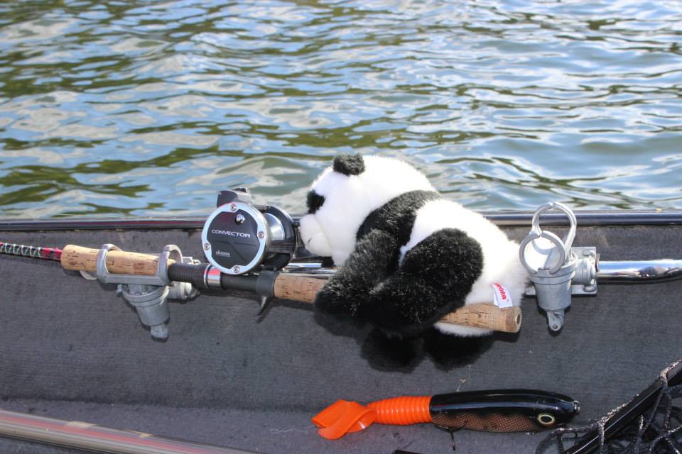 Click to expand / contract the width of this image