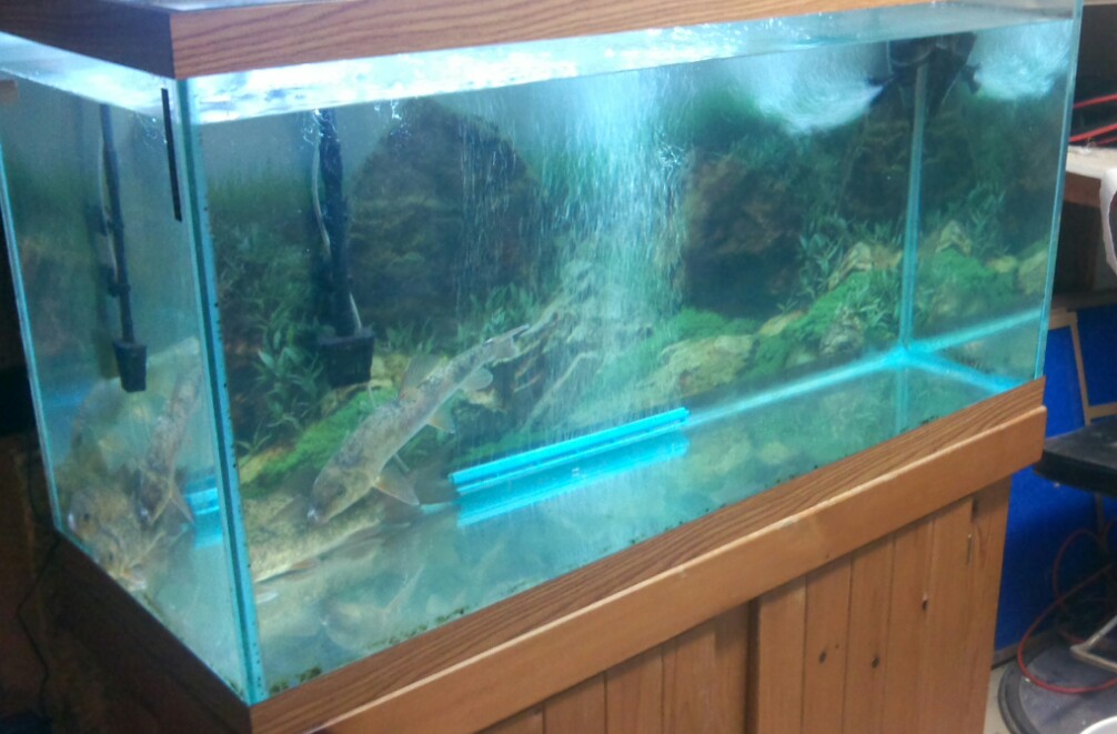 Click to expand / contract the width of this image