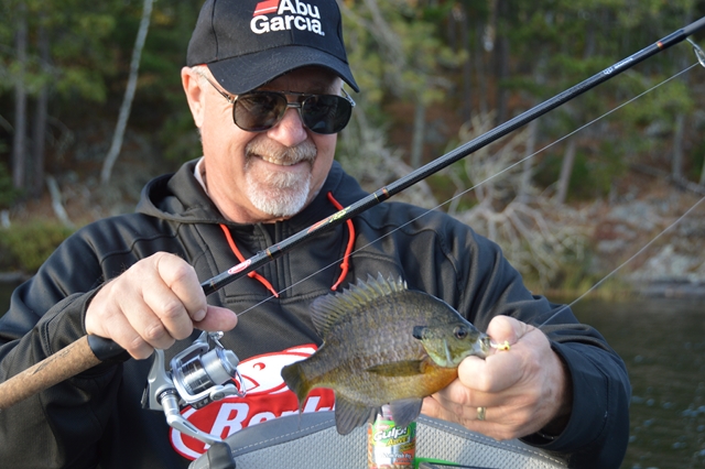 Click to expand / contract the width of this image