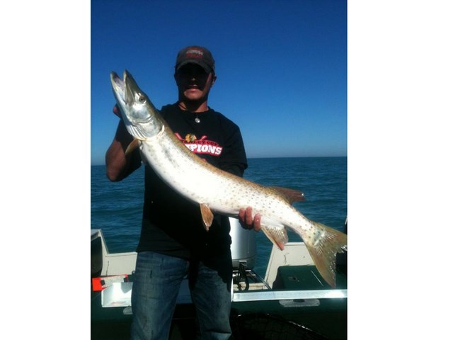 Click to expand / contract the width of this image