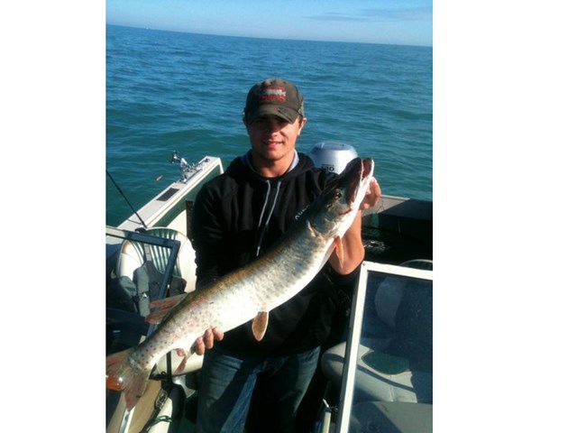 Click to expand / contract the width of this image