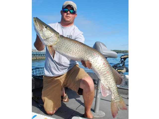 Click to expand / contract the width of this image