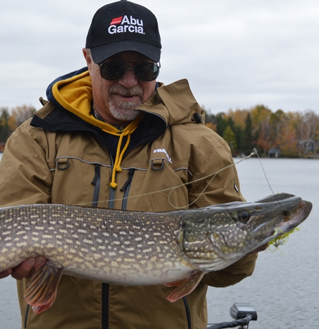 Click to expand / contract the width of this image