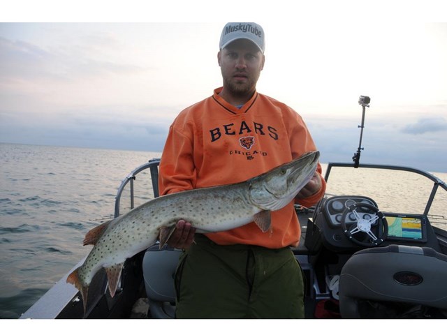 Click to expand / contract the width of this image