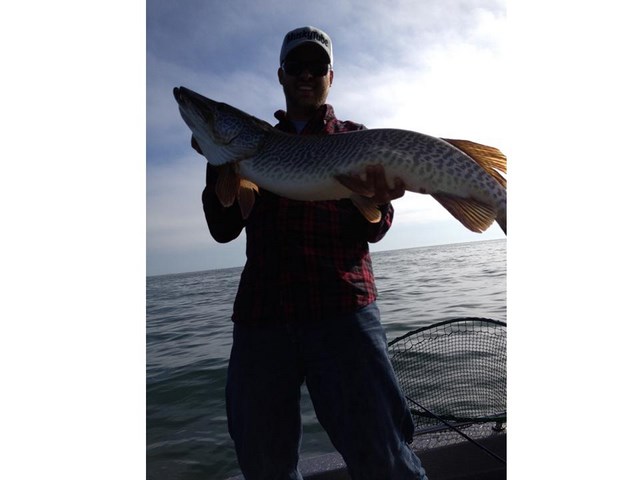 Click to expand / contract the width of this image