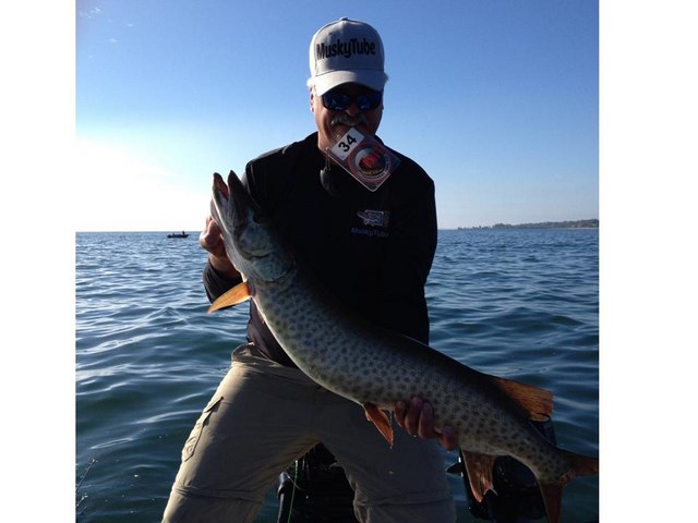 Click to expand / contract the width of this image