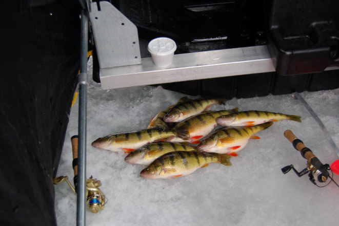 Click to expand / contract the width of this image