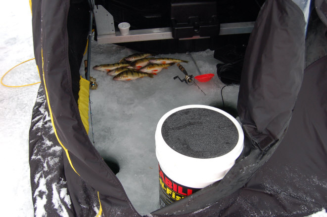 Click to expand / contract the width of this image