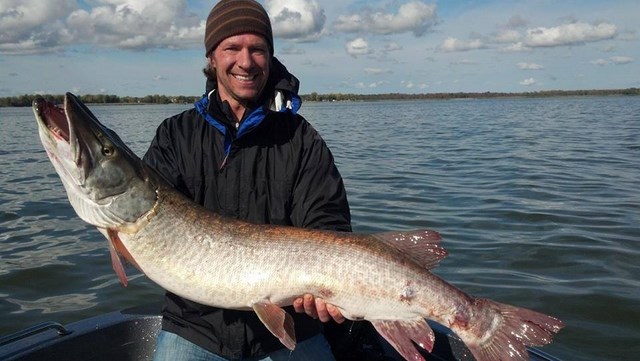 Click to expand / contract the width of this image