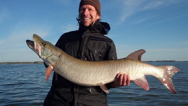 Click to expand / contract the width of this image